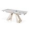 Modern dinning table